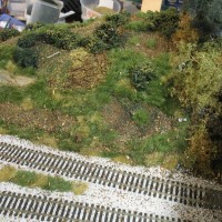ground cover and trees added