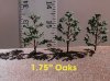 1.75'' oaks  19.jpg