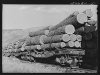 Cascase lumber 1941 train.jpg