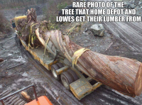 lumber.png