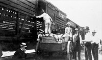 Melons being loaded onto a railroad car, Falfurrias, Texas 1915.jpg