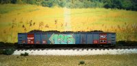DSC01781.JPG