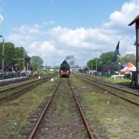 Steam Locomotives' Parade, Wolsztyn, Poland, 2008