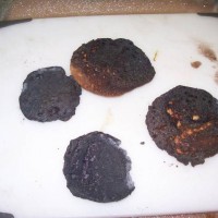 Burned the English Muffins While Posting to Trainiboard