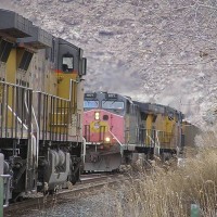 UP Coal Train Meet