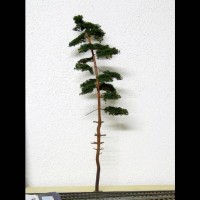 Rebuilding a Busch Pine Tree