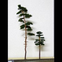 Rebuilding a Busch Pine Tree