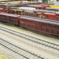 Cattle Cars Await Departure from East Yard