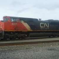 CN 8005