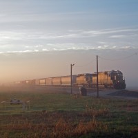 Train in the fog