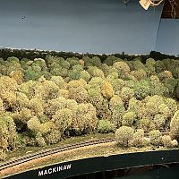 Mackinaw Woods