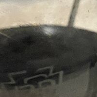 PRR logo etched on Lantern lens