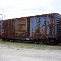 Believe this?? A 40' L&N boxcar that survived into 2009???   On CSX - Henderson KY     C.Cowan photo
