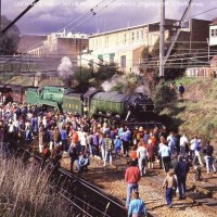 Flying Scotsman Lithgow SS13 25 june 1989
This Scotsman ain't gonna fly, we got it surrounded !