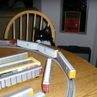 Cat and Train 3