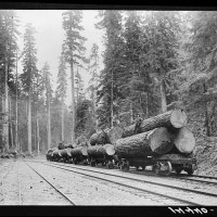 8b31110r Three to six logs usually constitute a carload, sometimes a single log. Washington