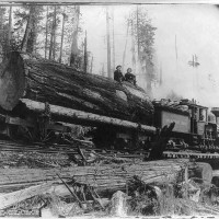 3b15100r Washington logging train going down a mountain, on which are logs from a fir tree 12 fe