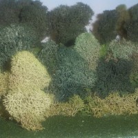 Using Foreground trees to hide a track