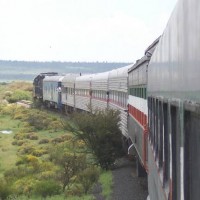 Railfan trip at San Luis Potosí convention