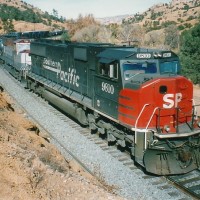 SP 9810