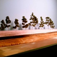 New trees for the layout