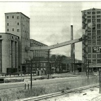 Allied Mills, Proto