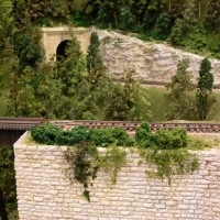 Foliage Detail at Zengerle Bridge
