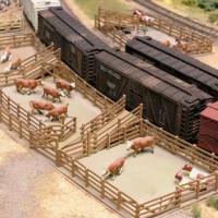 Union Livestock Yards - Pens and Layout
