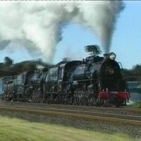 NZ Steam