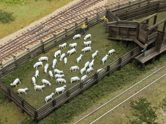 Silver Creek stock yard, pen with sheep