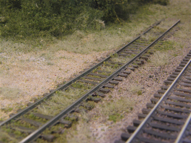 Weeds on the track.